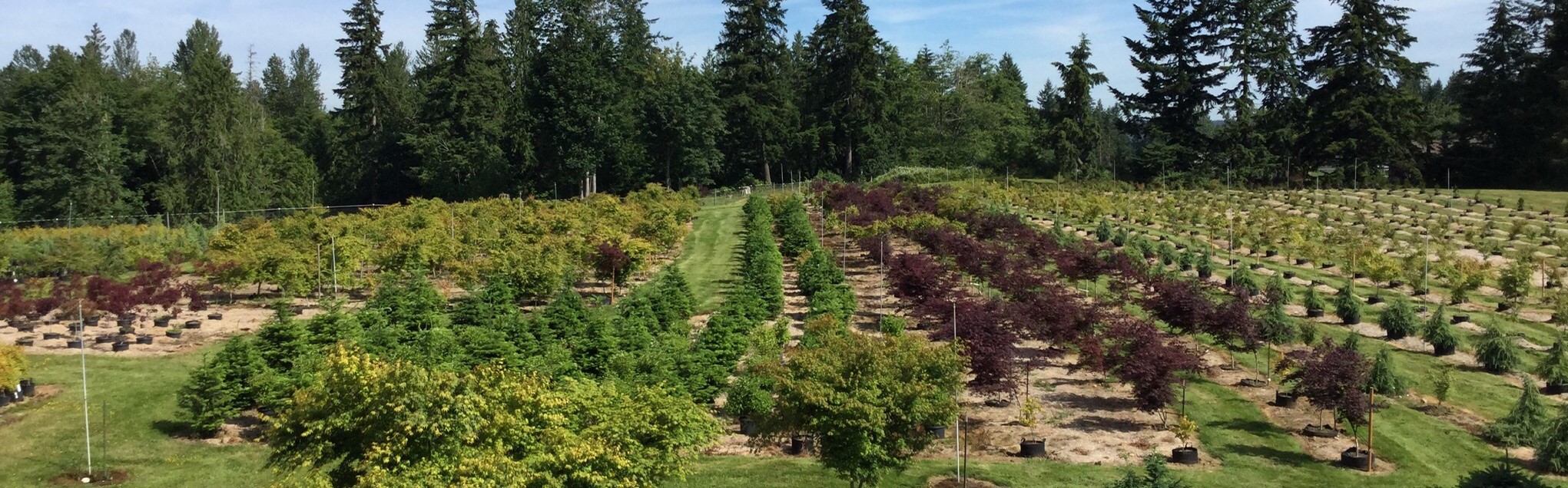Renton, Washington
